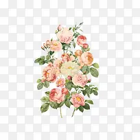 �ֻ��ʻ�ˮ�ʻ���-������