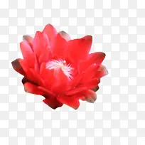 �����򿪵Ļ�-������