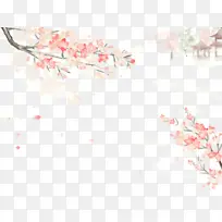 春天樱花树枝花瓣-空若网 春天樱花树枝花瓣-空若网