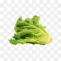 新鲜的小颗生菜-空若网 新鲜的小颗生菜-空若网