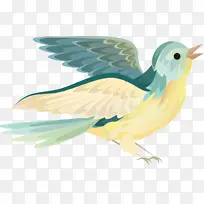 卡通插画版的鸟-空若网 卡通插画版的鸟-空若网