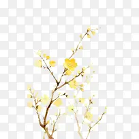 枝头的黄色花朵-空若网 枝头的黄色花朵-空若网