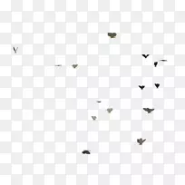 �ߺڰ׽ǵ�-����Ⱥ-������