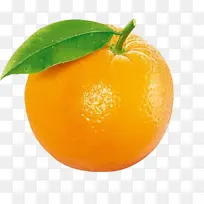 橘子,橙子,水果-空若网 橘子,橙子,水果-空若网