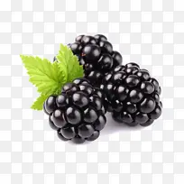 桑葚新鲜水果免扣素材-空若网 桑葚新鲜水果免扣素材-空若网