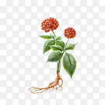 ����  ��  �˲�  �̲�-������