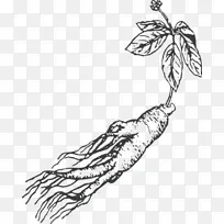 È˲βå»Í¼°¸-¿ÕÈôÍø È˲βå»Í¼°¸-¿ÕÈôÍø