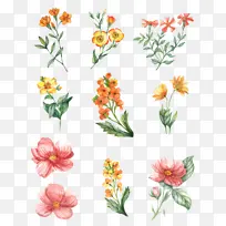 水彩花套图AI-空若网 水彩花套图AI-空若网