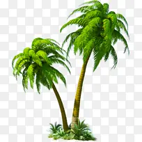 椰树热带植物热带树-空若网 椰树热带植物热带树-空若网