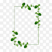 边框植物边框藤蔓绿叶-空若网 边框植物边框藤蔓绿叶-空若网