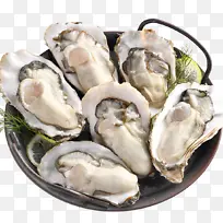 Ұ����������-������