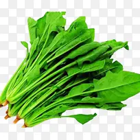 绿油油的蔬菜-空若网 绿油油的蔬菜-空若网