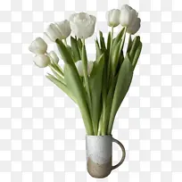 杯子里装着白色郁金香-空若网 杯子里装着白色郁金香-空若网