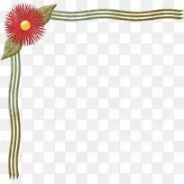 开花植物花瓣植物茎-花角-空若网 开花植物花瓣植物茎-花角-空若网