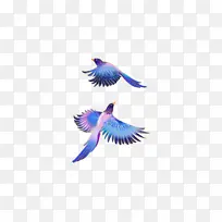 七夕情人节爱情素材-空若网 七夕情人节爱情素材-空若网