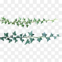 缠绕树枝藤蔓-空若网 缠绕树枝藤蔓-空若网