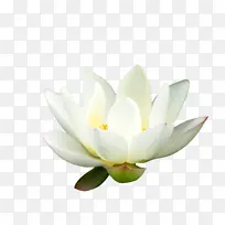 ���հ�ɫ�ɻ�-������