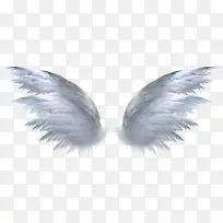 �ϵ���ʹ�ĳ��-������