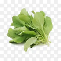 鸡毛菜 青菜 蔬菜装饰元素-空若网 鸡毛菜 青菜 蔬菜装饰元素-空若网