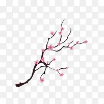 春分桃花元素-空若网 春分桃花元素-空若网