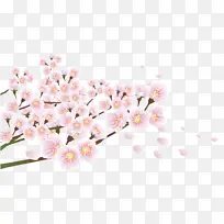 ���촺�ַ�ɫ����ӣ����֦-������