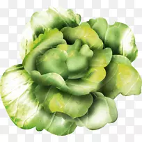 Ҷ��ʮ�ֻ����߲˽�˸���������Ȼ-������