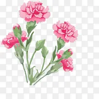 康乃馨母亲节-空若网 康乃馨母亲节-空若网