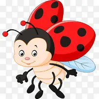 张开翅膀的七星瓢虫-空若网 张开翅膀的七星瓢虫-空若网