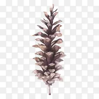 插画风格画松果果实-空若网 插画风格画松果果实-空若网