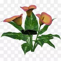 切花-百合花设计-空若网 切花-百合花设计-空若网