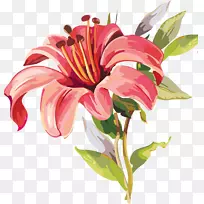 绘画-礼来-空若网 绘画-礼来-空若网