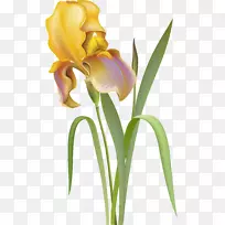 ���ܺ�Ĥ�����ֽ������-����-������