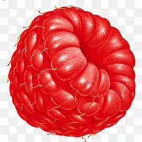 新鲜树莓水果免扣素材-空若网 新鲜树莓水果免扣素材-空若网