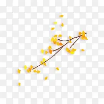 ���Ҷ֪���������֦-������