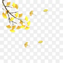 ���һ֦��Ƶ�������֦-������