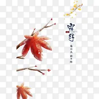 霜降节气手绘枫叶树枝元素图-空若网 霜降节气手绘枫叶树枝元素图-空若网