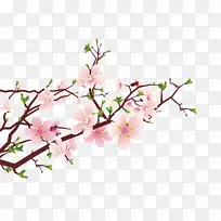 ʢ���������һ�-������