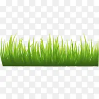 �ֻ���ɫ�ݴ�Ԫ��-������