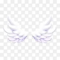 翅膀装饰元素素材-空若网 翅膀装饰元素素材-空若网