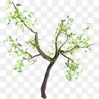 �����ֻ�ˮ���й�����֦�廭�ز�-������