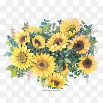 向日葵水彩4-空若网 向日葵水彩4-空若网