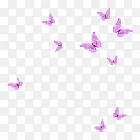 粉紫色展翅蝴蝶-空若网 粉紫色展翅蝴蝶-空若网