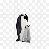 �а����������-������