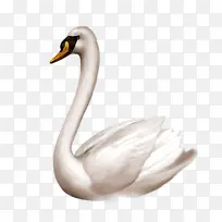 ��ɫ�������-������