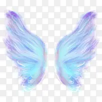 唯美炫酷 翅膀 装饰 元素-空若网 唯美炫酷 翅膀 装饰 元素-空若网