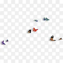 多彩蝴蝶 颜色-空若网 多彩蝴蝶 颜色-空若网