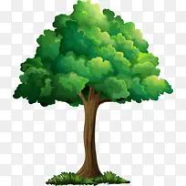 ��ͨ�廭��ֲ-������