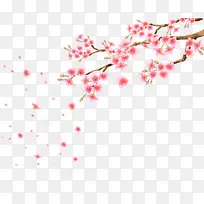 ÷�� ��֦ �ֻ�-������