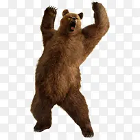 动物园 野生动物 陆地动物-空若网 动物园 野生动物 陆地动物-空若网