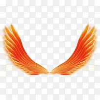 金色飞翔翅膀-空若网 金色飞翔翅膀-空若网